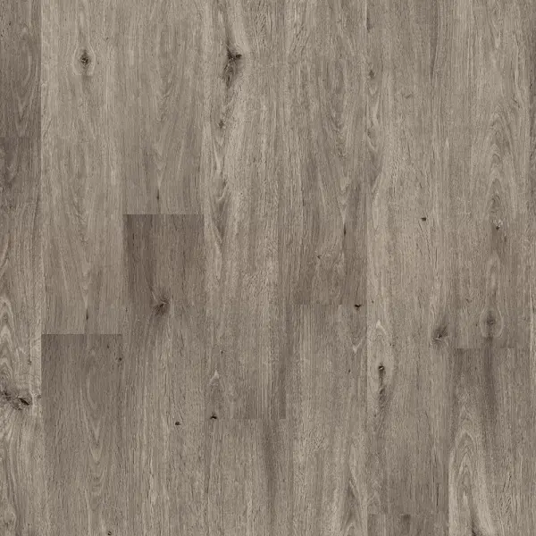 W by Woodpecker Hollow Oak