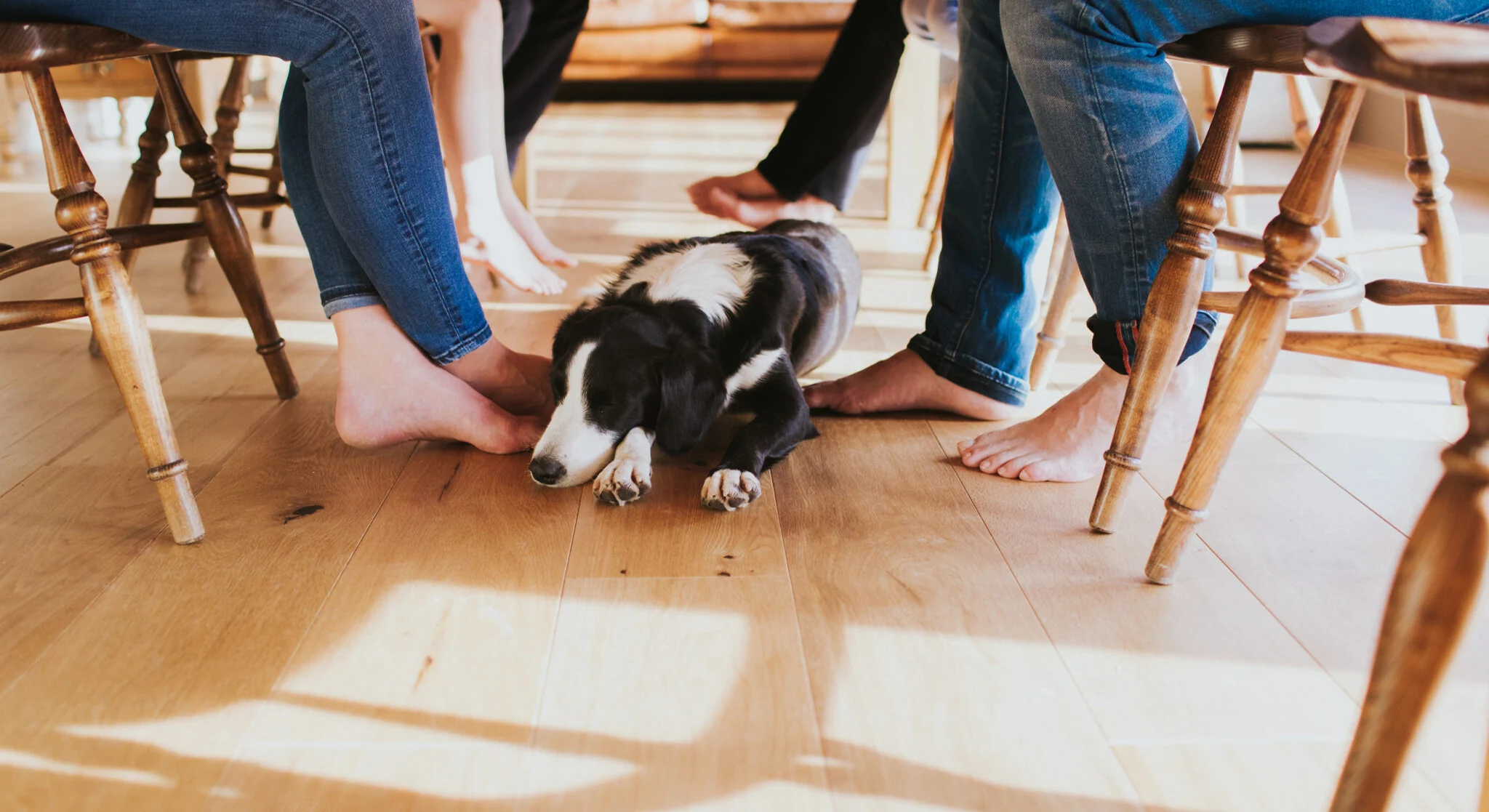 Best Flooring for Living Rooms with Pets